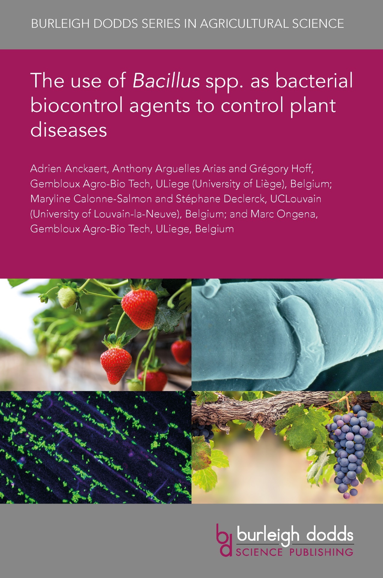 The use of Bacillus spp. as bacterial biocontrol agents to control plant diseases
