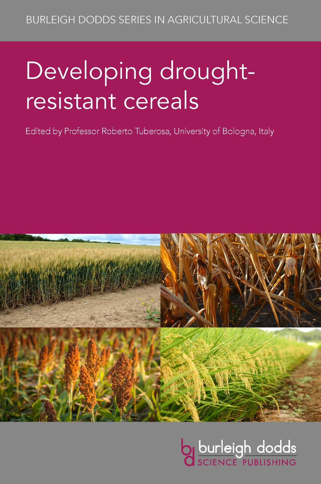Developing drought-resistant cereals - Cover