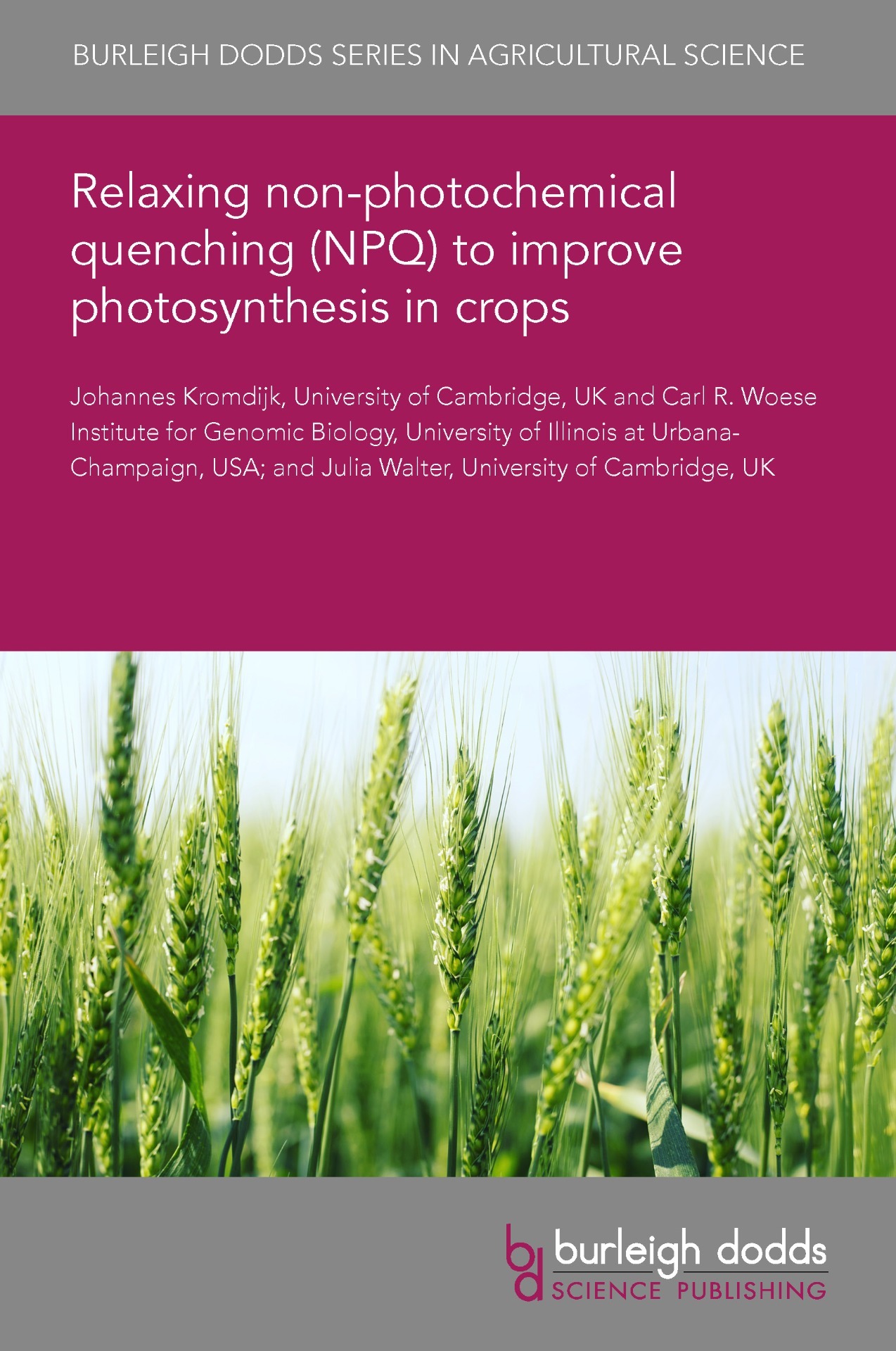 Relaxing non-photochemical quenching (NPQ) to improve photosynthesis in crops