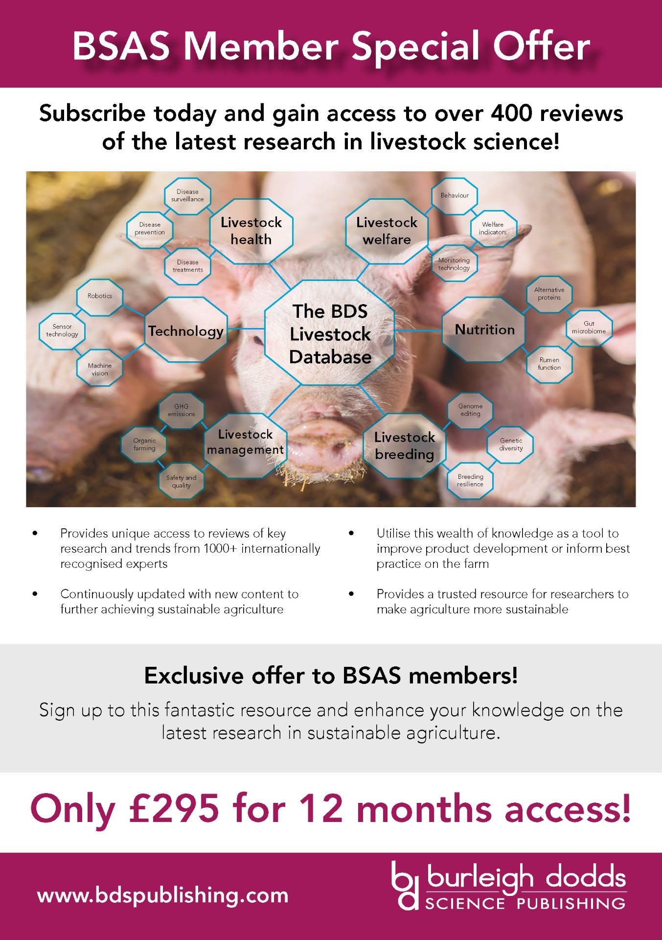 BSAS Member Special Offer Flyer