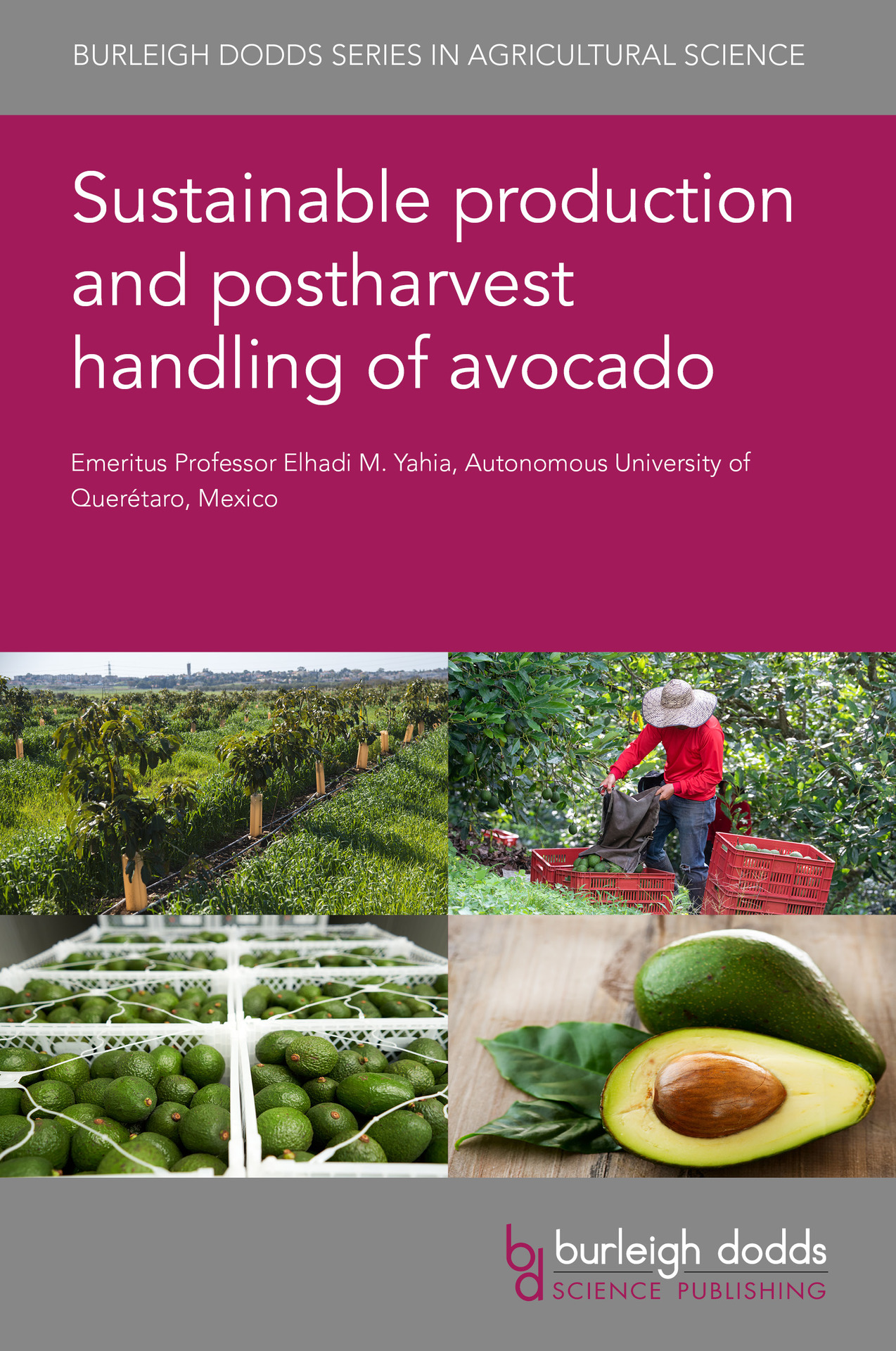 Sustainable production and postharvest handling of avocado