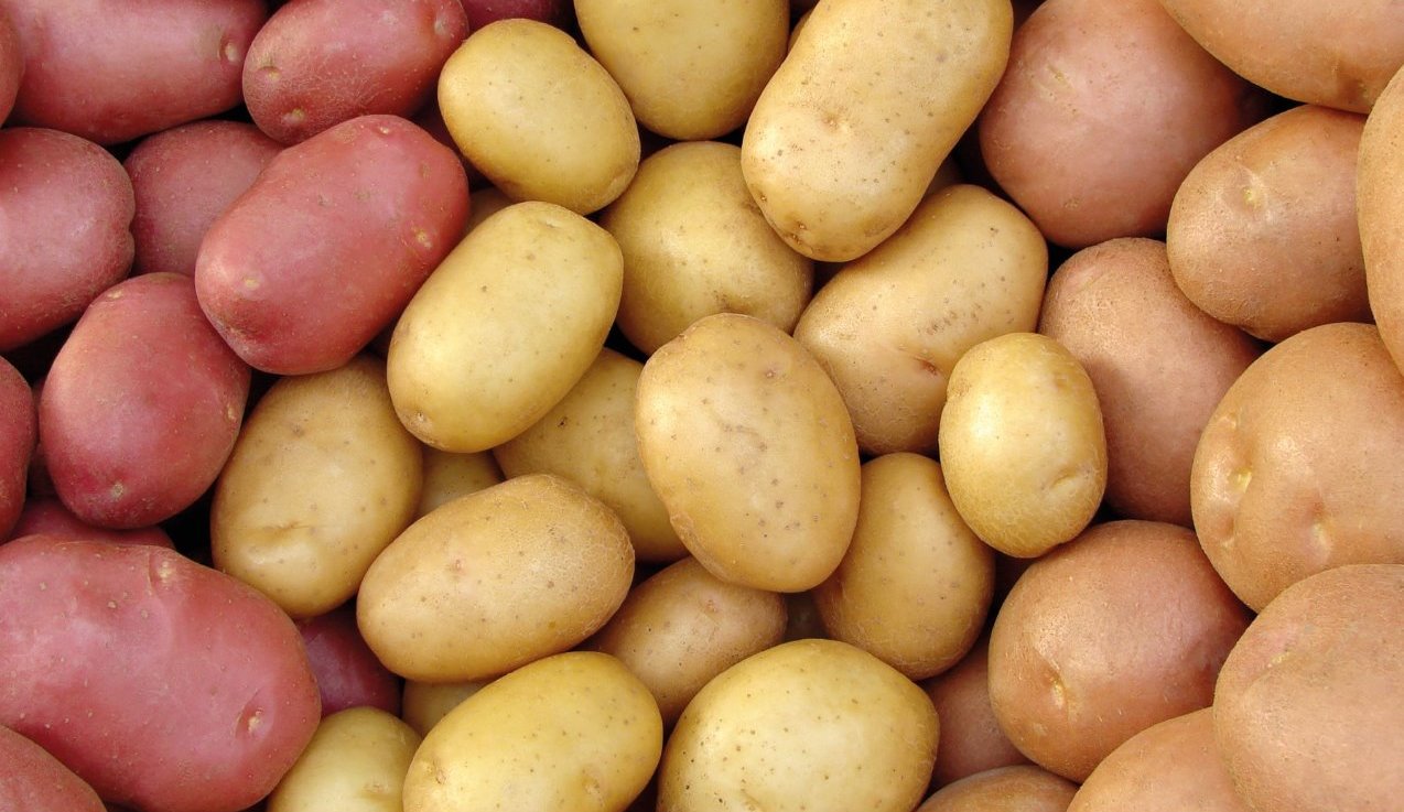 image of different varieties of potatoes