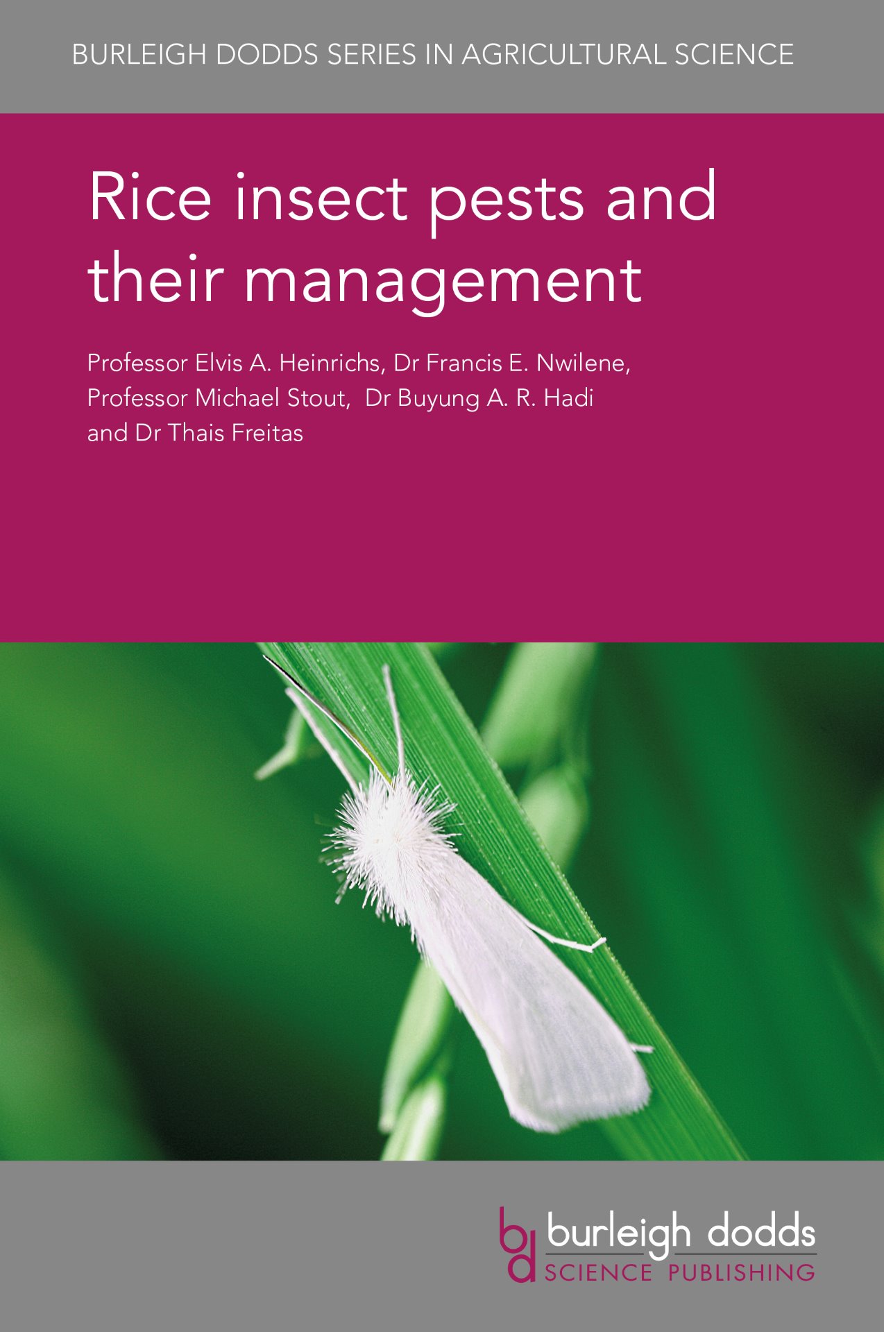 Rice insect pests and their management